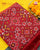 Traditional Navratna Design Red Ikat Rajkot Patola Dupatta